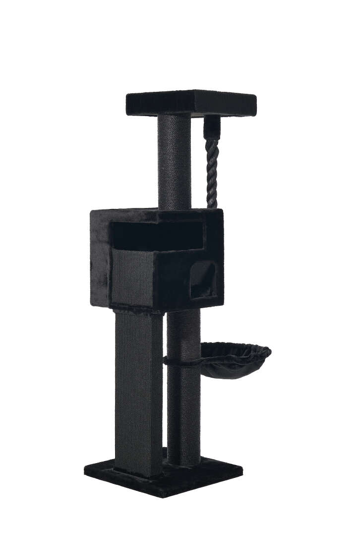 Nobby Kratzbaum Yoan